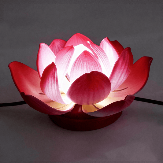 Lotus Lamp & Offering