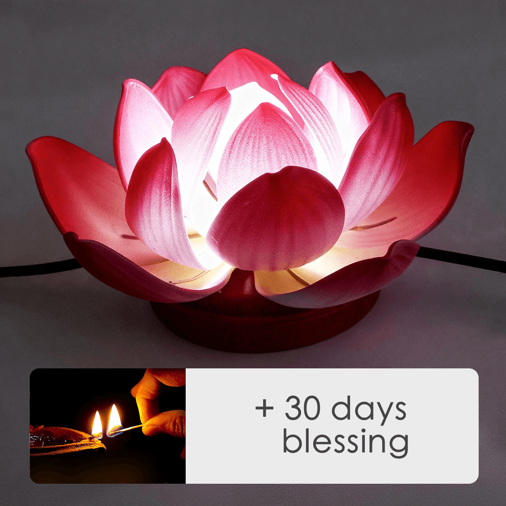 Lotus Lamp & Offering