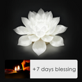 Load image into Gallery viewer, Lotus Lamp & Offering
